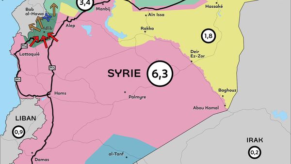 Des millions de syriens suspendus à l’aide humanitaire et aux rivalités territoriales - Sputnik Afrique
