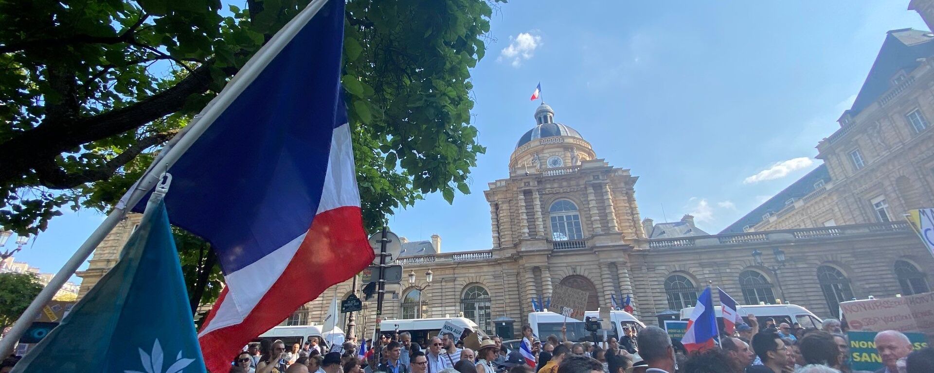 Manifestation contre l'extension du pass sanitaire à Paris, le 22 juillet 2021 Manifestation contre l'extension du pass sanitaire à Paris, le 22 juillet 2021 - Sputnik Afrique, 1920, 27.07.2021