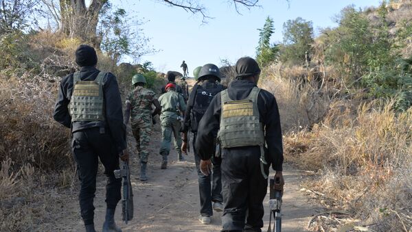 L'armée camerounaise - Sputnik Afrique