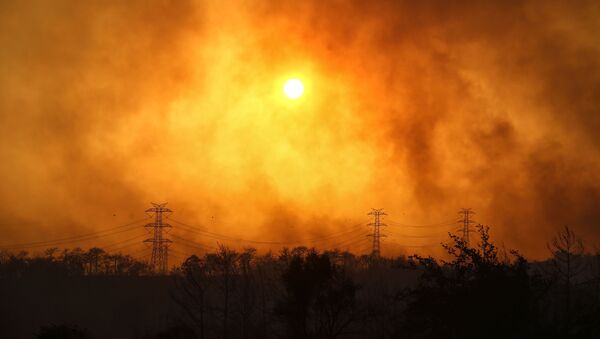 Un incendie de forêt près de Manavgat, en Turquie (archive photo) - Sputnik Afrique