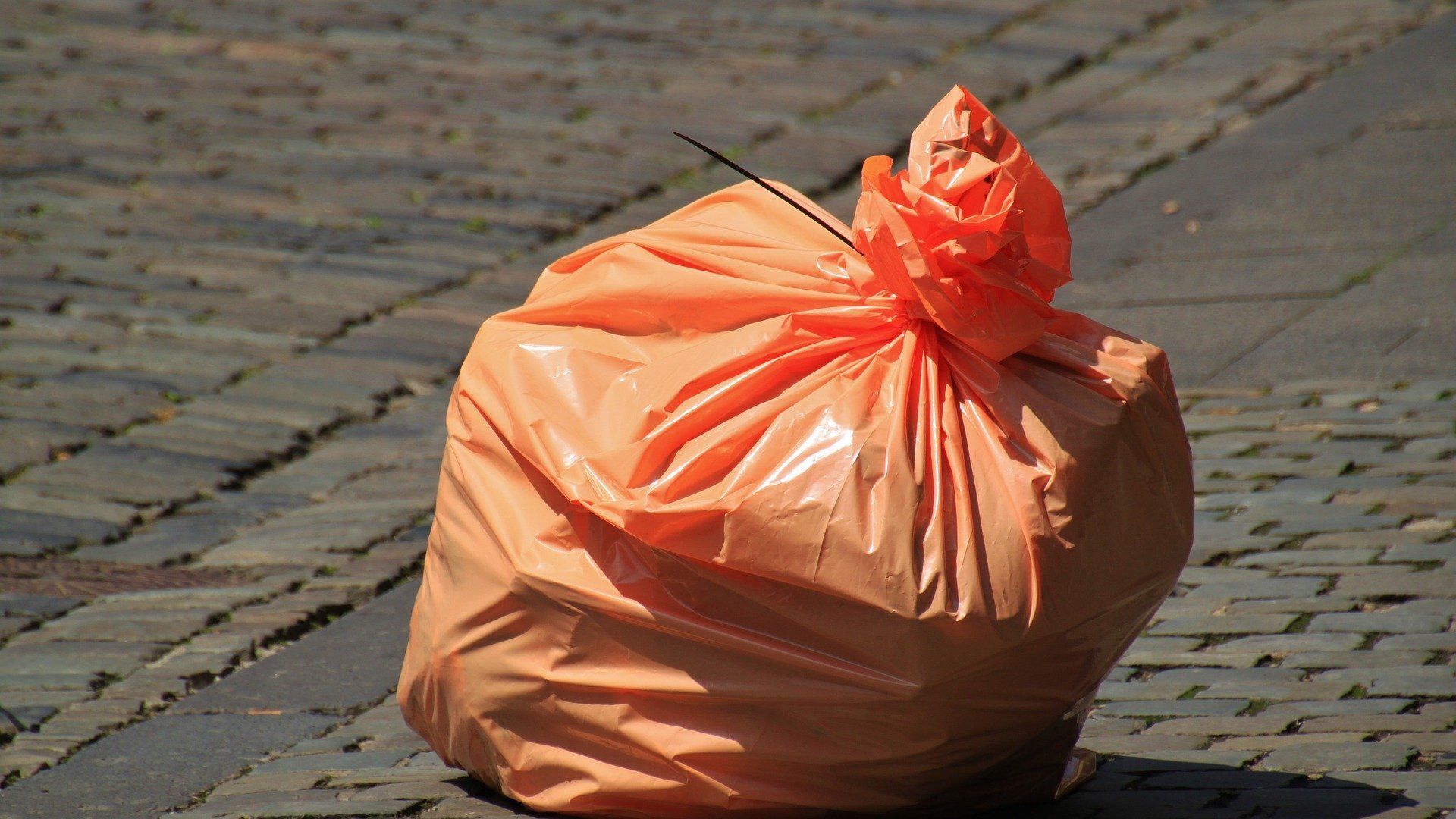 sac de déchets dans la rue - Sputnik Afrique, 1920, 02.12.2021