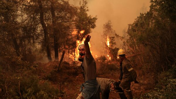 Les incendies en cours sur l'île d'Eubée, en Grèce - Sputnik Afrique