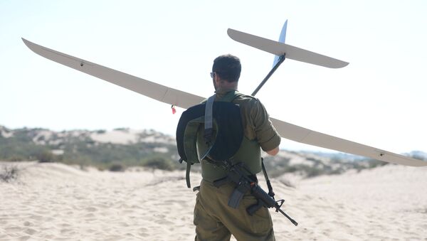 Un soldat israélien tient un drone Skylark - Sputnik Afrique