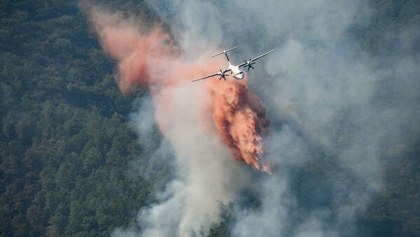 Des feux de forêts dans le Var, août 2021 - Sputnik Afrique