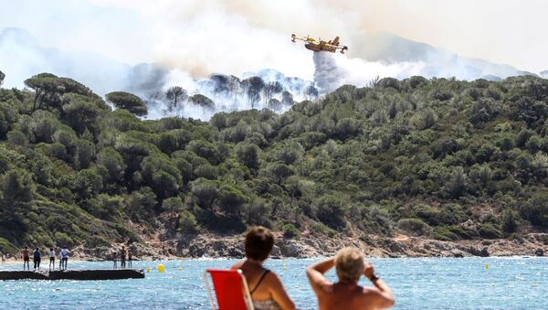 Un Canadair à Saint-Tropez, ville ravagée par des incendies de forêt, juillet 2017 - Sputnik Afrique