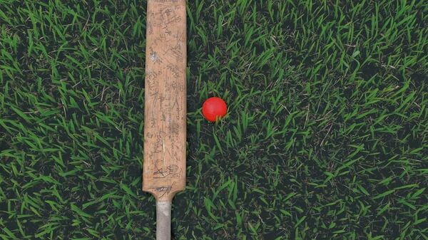 Cricket, image d'illustration - Sputnik Afrique