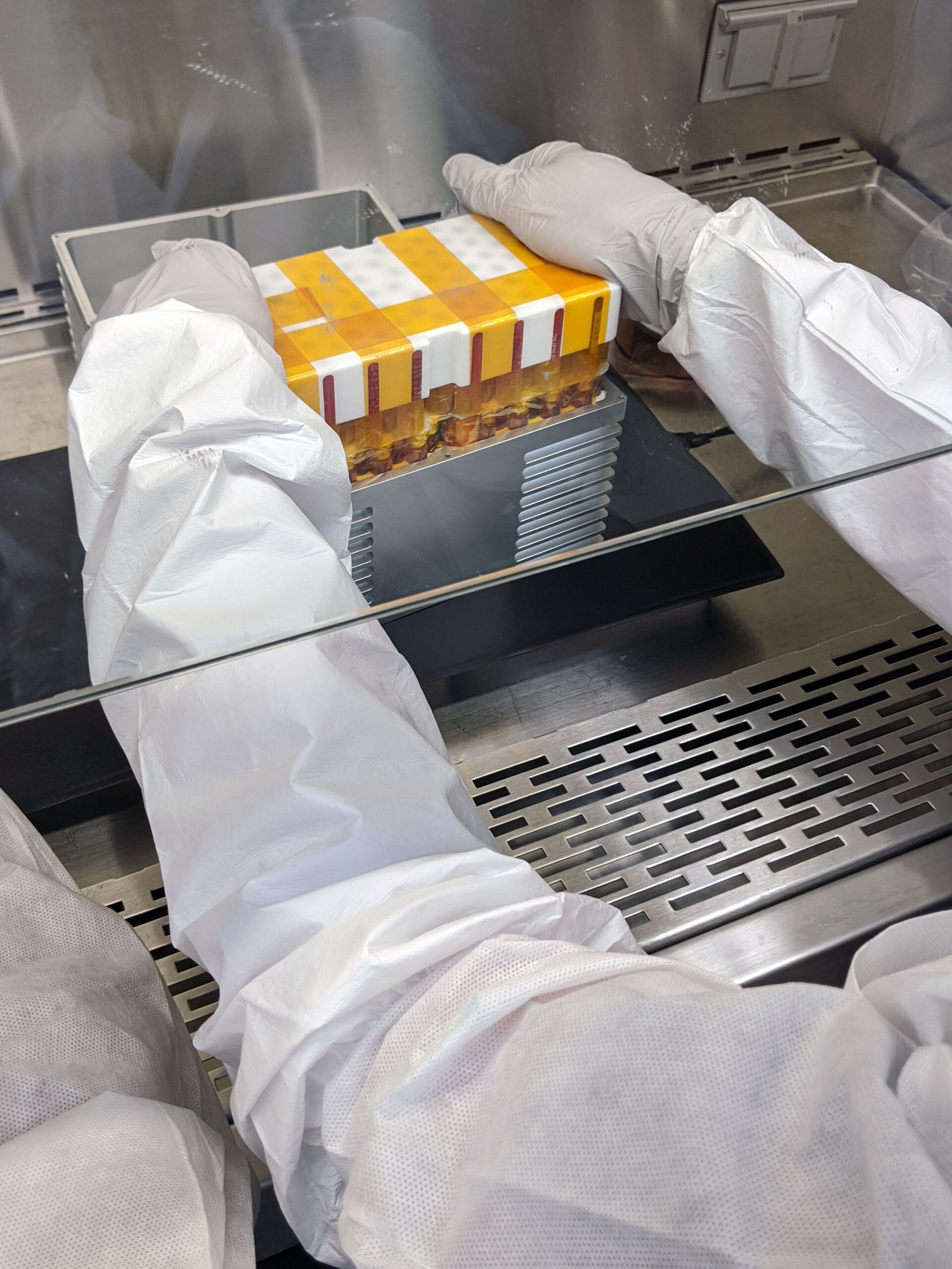 Les cellules souches humaines préalablement préparées en laboratoire sont placées dans le bioréacteur CubeLab - Sputnik Afrique, 1920, 21.09.2021
