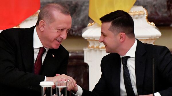 Volodymyr Zelensky et Recep Tayyip Erdogan - Sputnik Afrique