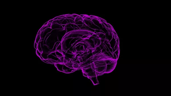 Cerveau (image d'illustration) - Sputnik Afrique