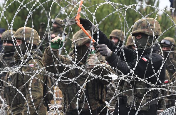 La Lituanie, où le flux d’immigrants illégaux s’est multiplié par 15 en un an, rassemble également ses troupes à la frontière biélorusse. Dès l’été dernier, les Lituaniens, suivant l’exemple des Polonais, ont érigé une barrière de barbelés à la frontière avec la Biélorussie. - Sputnik Afrique