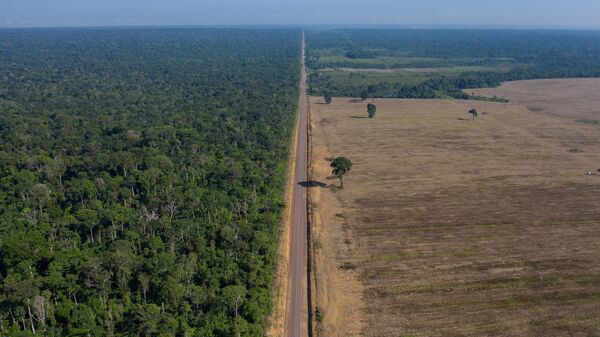 Déforestation de l'Amazonie - Sputnik Afrique