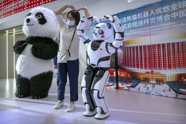 Un robot panda à la World Robot Conference, à Pékin. - Sputnik Afrique