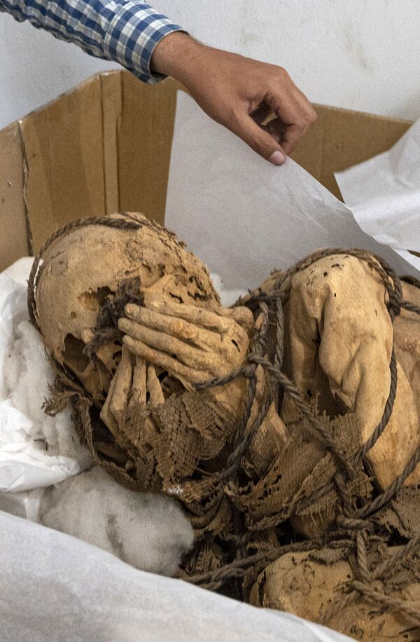 Des scientifiques de l’université nationale de San Marcos du Pérou ont découvert une momie âgée de 800 à 1200 ans. On pense que la dépouille est celle d’un homme âgé de 18 à 30 ans au moment de son décès. La momie se trouvait dans une construction funéraire souterraine d’environ trois mètres de long, à laquelle on accède par un escalier de sept marches. - Sputnik Afrique