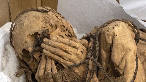 Обнаруженная мумия во время археологических раскопок в Перу  - Sputnik Afrique