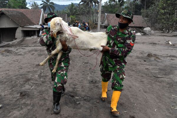L’opération de recherche et de sauvetage dans la province de Java orientale se poursuit. Un alourdissement du bilan des victimes n’est pas à exclure. - Sputnik Afrique