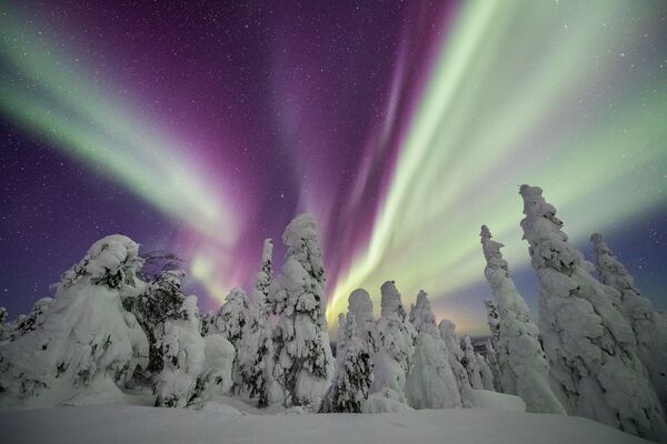 Narnia de Amy J. Johnson (États-Unis), photo prise près de Fairbanks (Alaska), États-Unis. - Sputnik Afrique