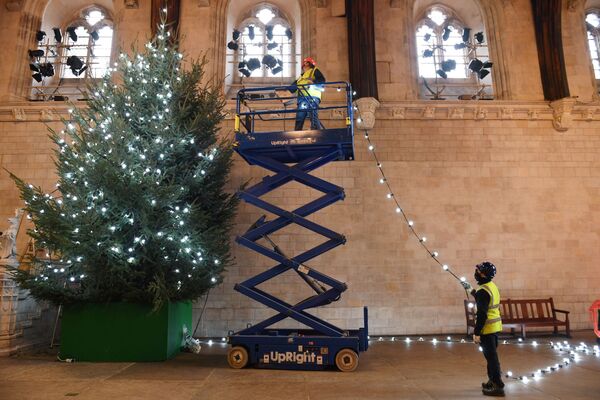 Des ouvriers décorent un arbre de Noël à Westminster, à Londres. - Sputnik Afrique