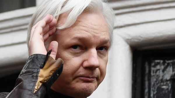 Julian Assange, le 19 mai 2017 - Sputnik Afrique