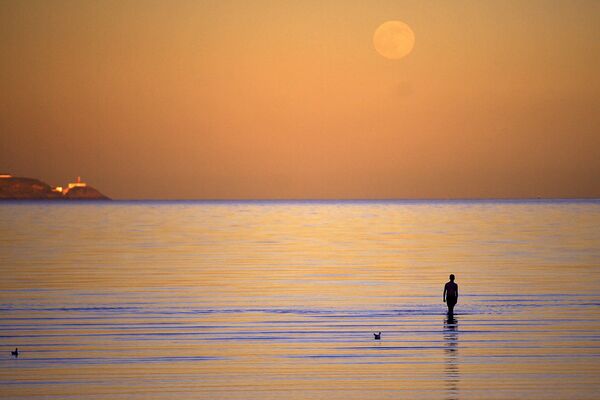 La &quot;pleine lune du loup&quot; au-dessus de Seapoint Beach à Dublin, en Irlande. - Sputnik Afrique