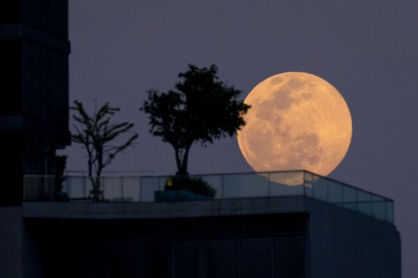 La &quot;pleine lune du loup&quot; au-dessus de Bangkok, en Thaïlande. - Sputnik Afrique