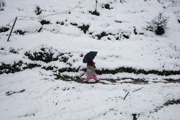 Le week-end dernier, les chutes de neige dans les montagnes de l&#x27;Himachal Pradesh, en Inde, ont paralysé la région. Plus de 730 routes ont été bloquées, dont quatre autoroutes nationales.Sur la photo: un habitant de Dharamsala, dans l’Himachal Pradesh, pendant une chute de neige. - Sputnik Afrique