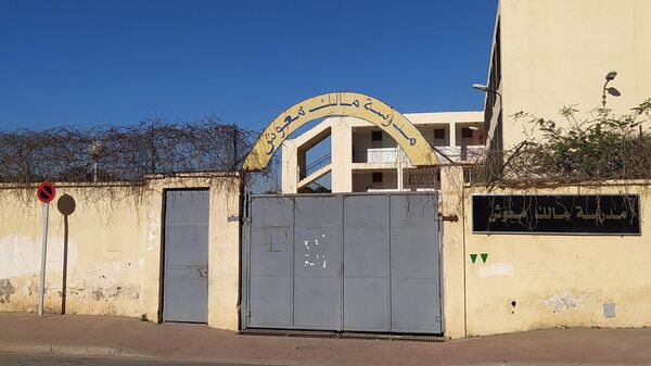 Une école à Bachdjerah, quartier de la proche banlieue d'Alger - Sputnik Afrique