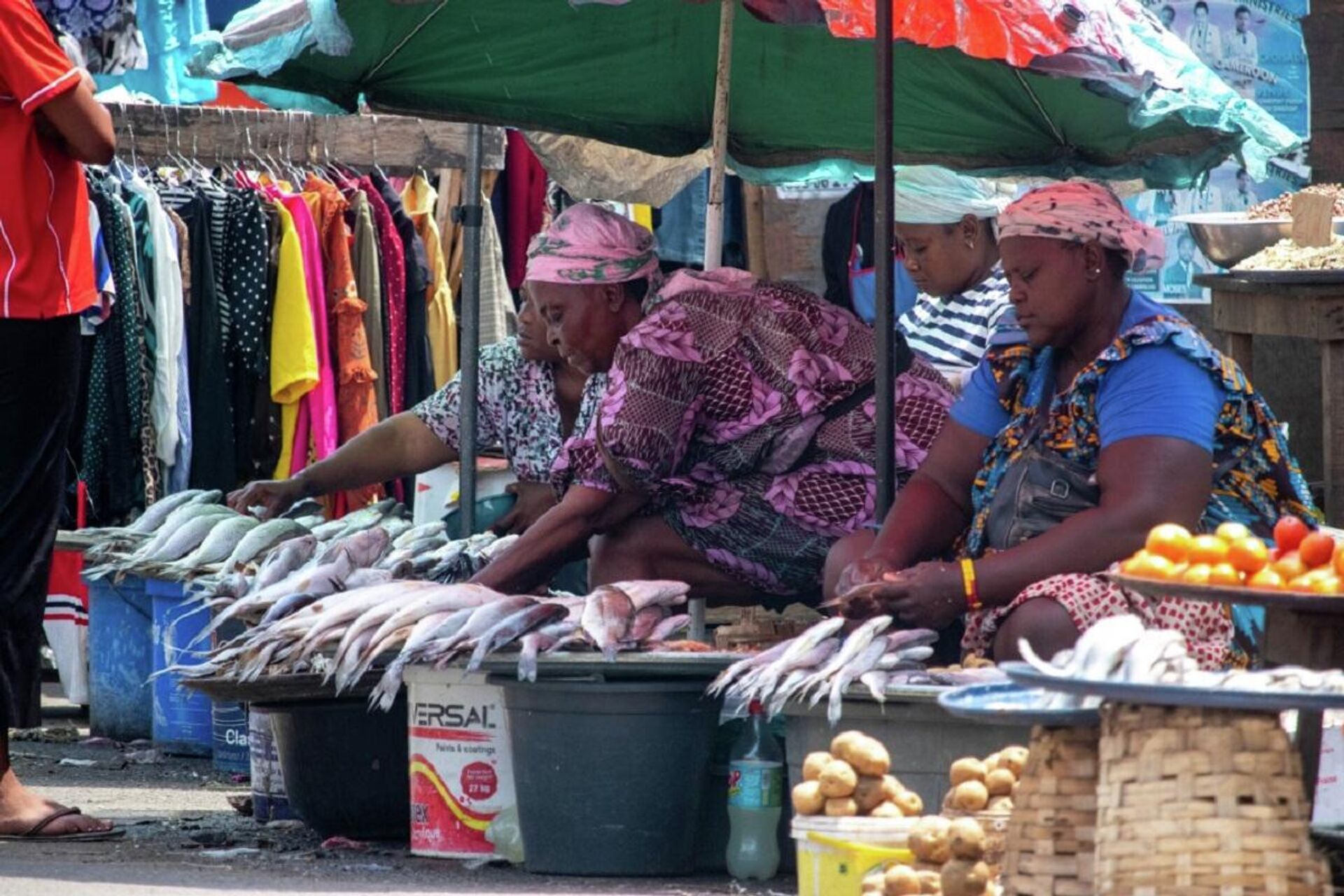 Des vendeuses de poisson attendent impatiemment des clients au marché de Bonamoussadi - Sputnik Afrique, 1920, 16.02.2022