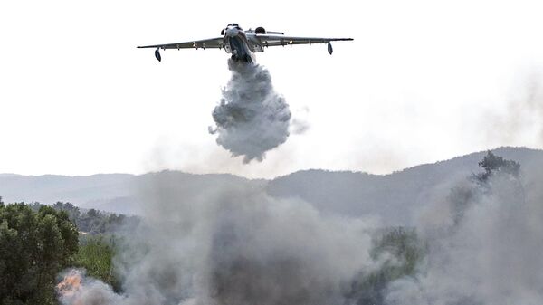 Un Be-200ChS lutte contre un incendie de forêt (archive photo) - Sputnik Afrique