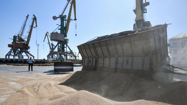 Un navire transportant plus de 60.000 t de céréales russes arrive en Égypte
