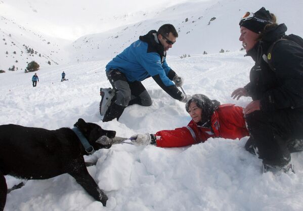 Un chien dressé pour les avalanches découvre une personne ensevelie sous la neige, le 22 janvier 2009 lors d&#x27;une simulation d&#x27;accident sur le site de la station de ski du Puigmal dans les Pyrénées-Orientales. &quot;Avalanche au Prat-de-Tose: six personnes ensevelies! Nous lançons les opérations de secours!&quot;, ordonne au talkie-walkie Guy Gatounès, brigadier-chef de la CRS 58. Aussitôt, 40 personnes se mobilisent pour un exercice en montagne. - Sputnik Afrique