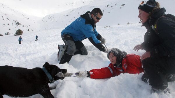 Une simulation d’une opération de secours post-avalanche dans la station de ski de Puigmal, Pyrénées-Orientales. - Sputnik Afrique