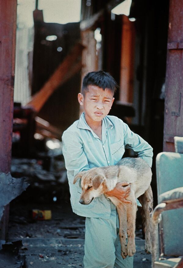 Un jeune Vietnamien tient un chien dans ses bras dans les rues de Khuong Tung, pendant la guerre du Vietnam en 1967. - Sputnik Afrique
