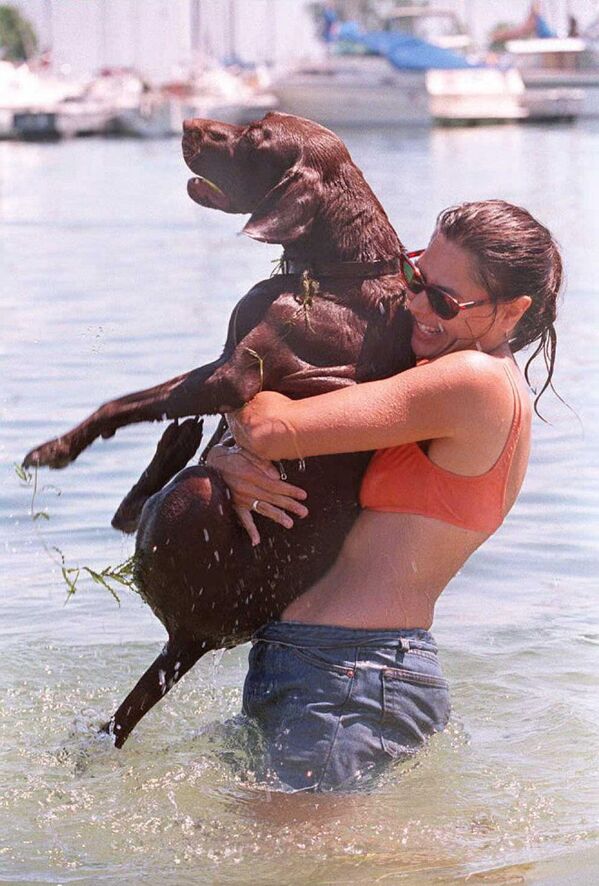 Liz Rice échappe à la chaleur avec Jack, qu&#x27;elle a adopté à l&#x27;Anti-Cruelty Society, en prenant un bain à la plage pour chiens près du lac Michigan à Chicago. - Sputnik Afrique