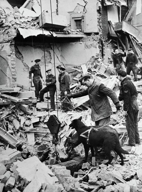 Des soldats britanniques avec des chiens de sauvetage recherchent des victimes dans un bâtiment en ruine après un raid aérien sur Londres pendant le Blitzkrieg allemand de 1941. - Sputnik Afrique