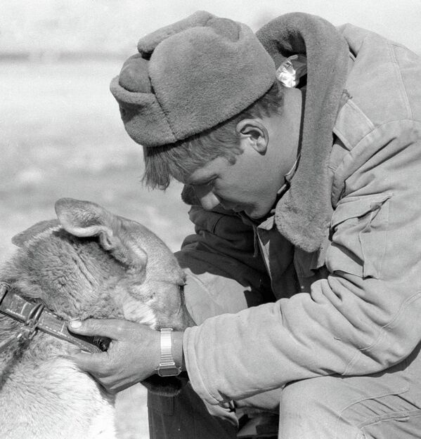 Un soldat soviétique dit au revoir à un chien renifleur. Le retrait des troupes soviétiques d&#x27;Afghanistan. - Sputnik Afrique
