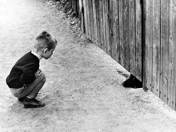 Photo d&#x27;archive datée de 1961 d&#x27;un garçonnet observant un chien sous une palissade. - Sputnik Afrique