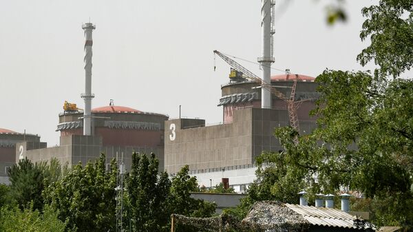 Le réacteurs 2 et 3 de la centrale nucléaire de Zaporojié (archive photo) - Sputnik Afrique