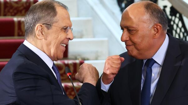 Les ministres russes et égyptien des Affaires étrangères Sergueï Lavrov et Sameh Shukri  - Sputnik Afrique