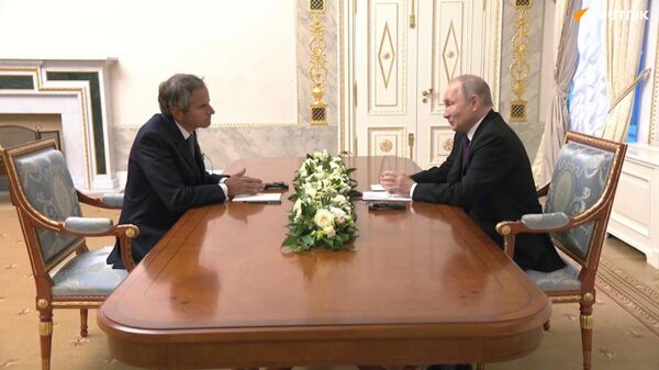 Vladimir Poutine reçoit le directeur de l'AIEA Rafael Grossi à Saint-Pétersbourg - Sputnik Afrique