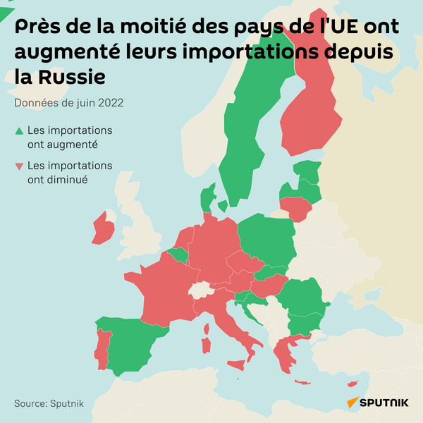 Près de la moitié des pays de l’UE ont augmenté leurs importations depuis la Russie - Sputnik Afrique