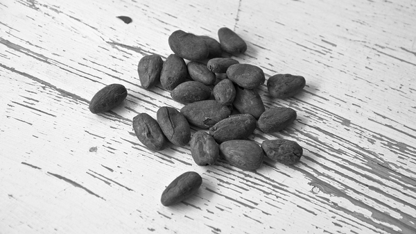 Cacao: «Il faut que les multinationales comprennent qu’on n’est plus au temps de l’esclavage» - Sputnik Afrique