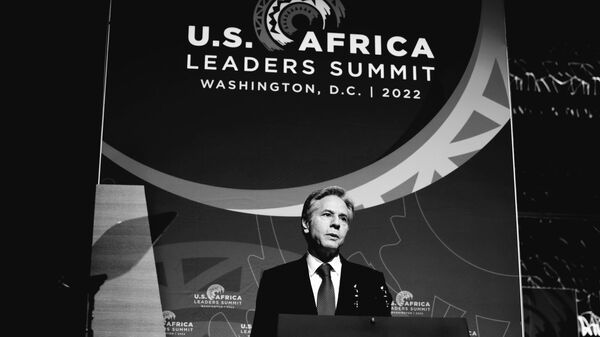 Sommet États-Unis-Afrique: les pays africains à la recherche du partenaire qui leur conviendrait - Sputnik Afrique