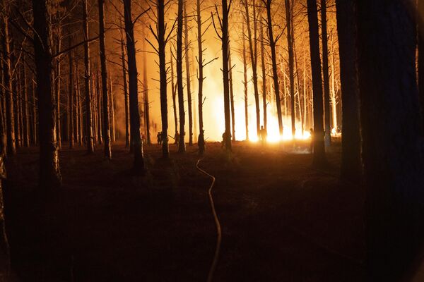 En février, le parc national d’Ibera, dans le nord-est de l’Argentine, a brûlé. Le feu a balayé 50.000 hectares. - Sputnik Afrique