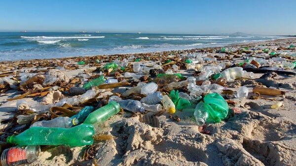 An ocean shore in South Africa littered with garbage, including plastic bottles and cans - Sputnik Africa
