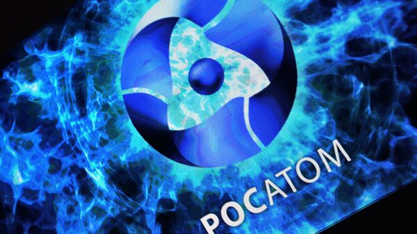 ROSATOM corporation's stand on display at the exhibition Russia Looking Into the Future at the central exhibition hall Manege, Moscow - Sputnik Africa