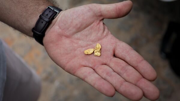 A man who works as an airplane pilot for illegal miners shows a few grams of gold he received as part of his payment for flying clandestine flights inside Yanomami indigenous land in Roraima state, Brazil on February 7, 2023 - Sputnik Africa