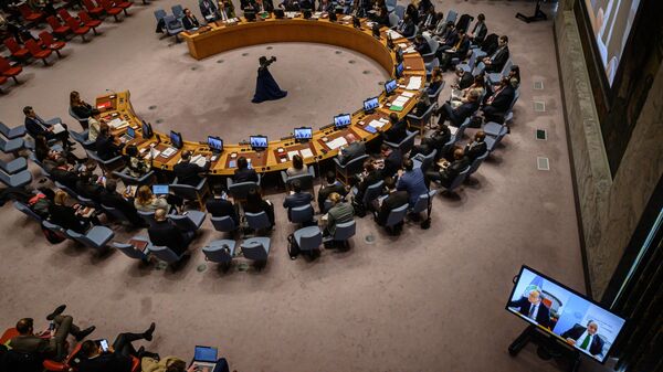 A general view shows a United Nations Security Council meeting. File photo - Sputnik Africa