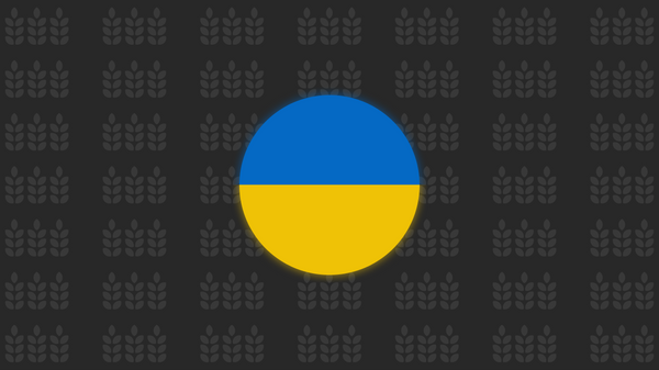 Augmentation des exportations de céréales ukrainiennes vers les pays voisins - Sputnik Afrique
