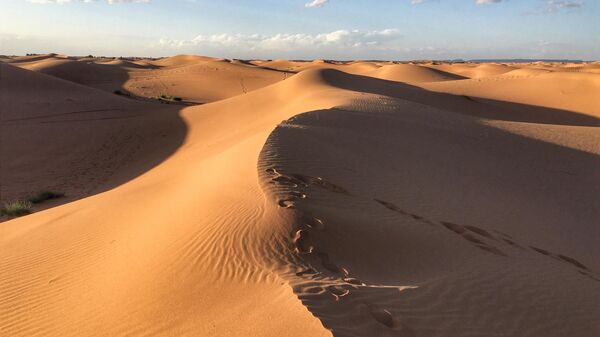 Le Sahara (archive photo) - Sputnik Afrique
