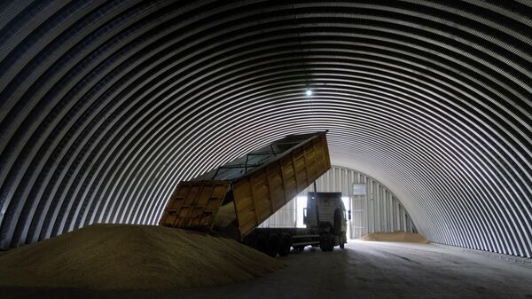 A dump track unloads grain in a granary in the village of Zghurivka, Ukraine, Aug. 9, 2022. - Sputnik Africa